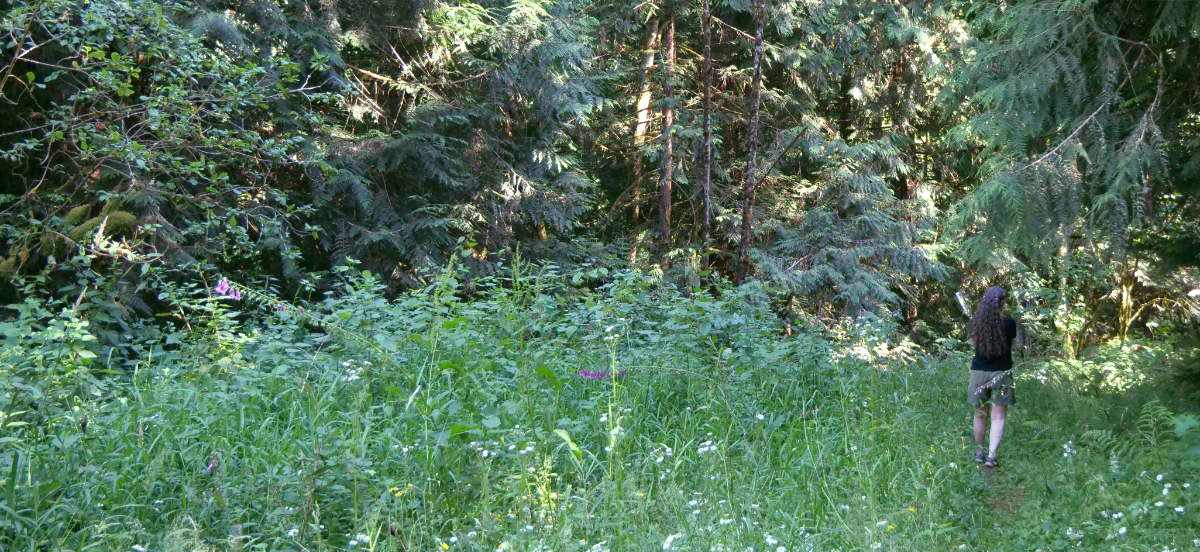 trillium trail